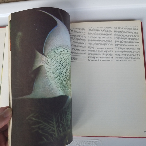 The World of Fish 1975 Peebles Press editor John H - Picture 5 of 16